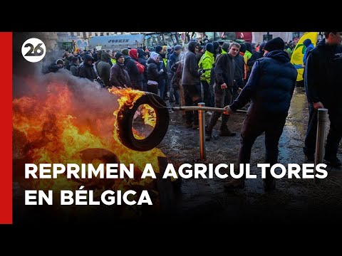 BÉLGICA | Nuevo reclamo de los agricultores frente a la Unión Europea en Bruselas