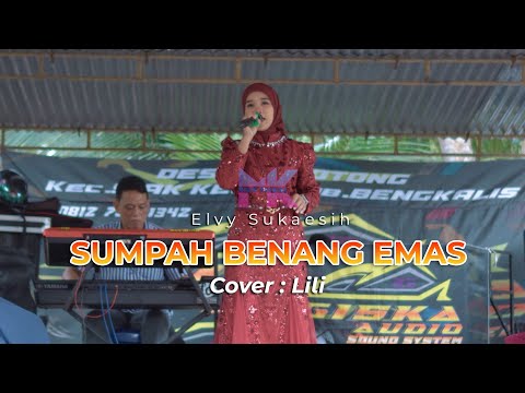 SUMPAH BENANG EMAS || ELVY SUKAESIH || COVER LILI || LIVE WEDDING