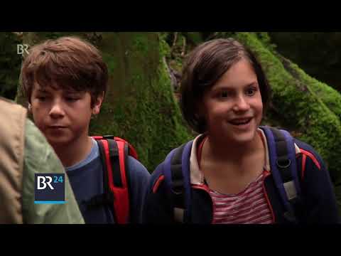 Dreharbeiten - FÜNF FREUNDE - IM TAL DER DINOSAURIER