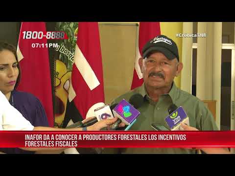 INAFOR informa sobre incentivos forestales fiscales en Nicaragua