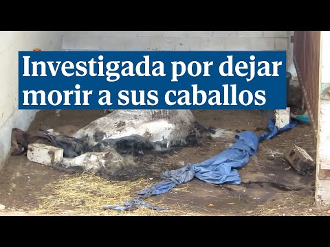 Investigan a una mujer por dejar morir a sus caballos en Nalda (La Rioja)