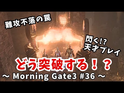 【ゆっくり実況】【バルダーズゲート３】Morning Gate3 #36