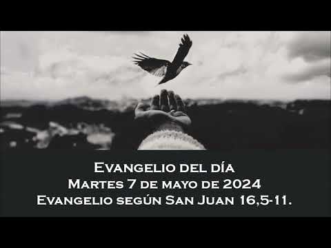 Evangelio del martes 7 de mayo de 2024