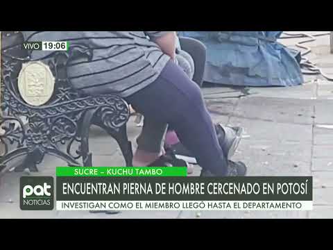 Encuentran pierna de hombre cercenado en accidente de tránsito en Potosí