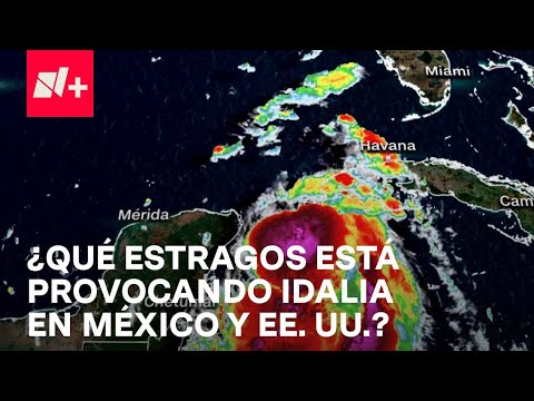 Tormenta Idalia puede convertirse en huracán en las próximas horas - En Punto