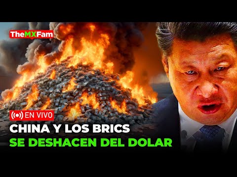 ULTIMA HORA | BRICS SACUDE AL DOLAR SE DESHACE DE $74MIL MILLONES USD EN TIEMPO RECORD | TheMXFam