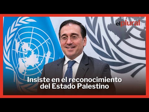 Albares apoya la entrada de Palestina en la ONU