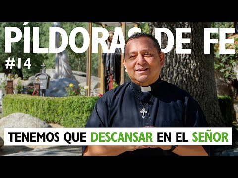 Tenemos que DESCANSAR en el SEÑOR: Píldoras de Fe n.º 14 (Domingo XVI del Tiempo Ordinario)