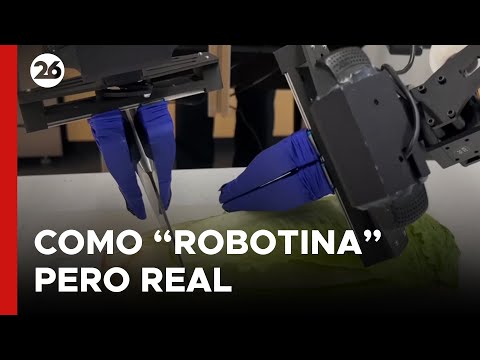 CROACIA | El robot que ayuda en el hogar