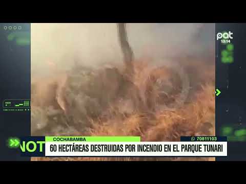 En el parque Nacional Tunari se incendiaron 60 Hectáreas
