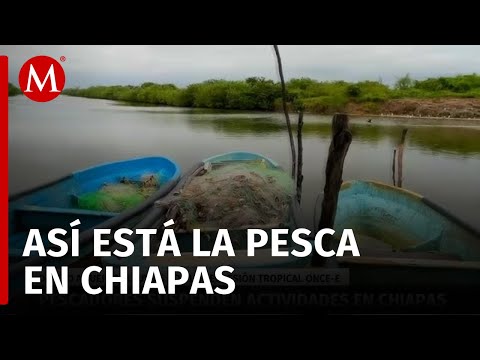 Pescadores de Chiapas enfrentan riesgos tras depresión tropical 11