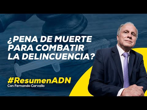 Alcaldes de distritos limeños argumentan medidas para combatir la delincuencia #ADNRESUMEN