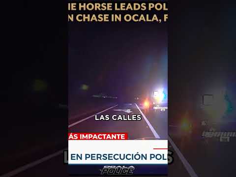 Persecución Inusual:Policia detiene a caballo que paseaba por las calles de Florida #policia #reel