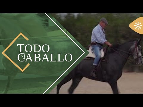 TodoCaballo | El campeón de Doma Vaquera, Francisco Díaz Pajito, busca caballo para volver a ...