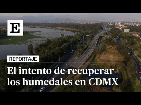 HUMEDALES recreados en Ciudad de México | El PAÍS