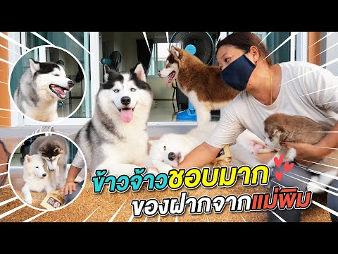 ข้าวจ้าวกินยากมาก-แต่ของฝากนี่ ข้าวจ้าวกินยากมาก-แต่ของฝากนี่