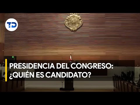 Cuatro candidatos se disputan presidencia del Congreso