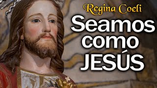 REGINA COELI. Seamos como JESÚS.