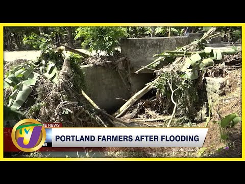 Portland Farmers After Flooding | TVJ News - Feb 8 2022
