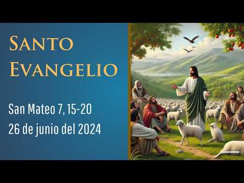 Evangelio del 26 de junio del 2024 según Mateo 7, 15-20