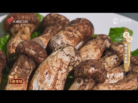 香煎小金松茸【我爱返寻味2024精华版】