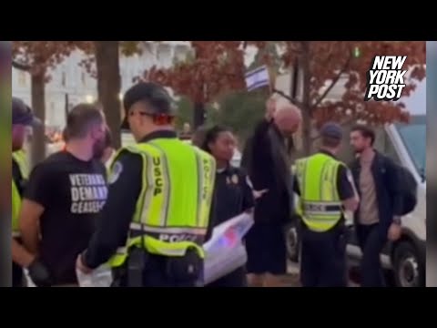 Sen. John Fetterman triggers anti-Israel protesters with flag wave