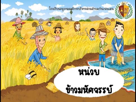 สื่อการสอนออนไลน์หน่วยข้าวมหั