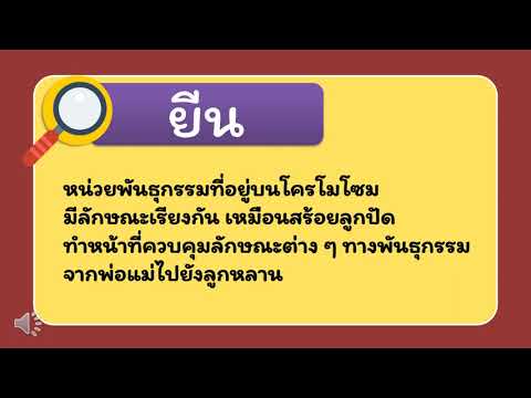 การถ่ายทอดลักษณะทางพันธุกรรม-เ การถ่ายทอดลักษณะทางพันธุกรรม-เ