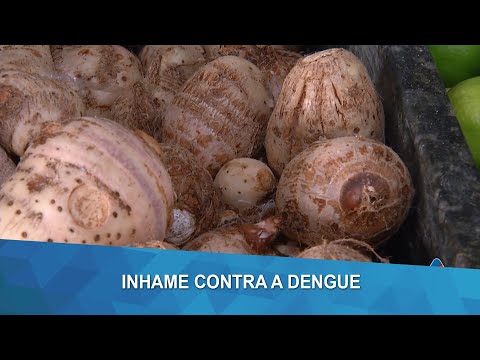 Os benefícios do inhame contra a dengue