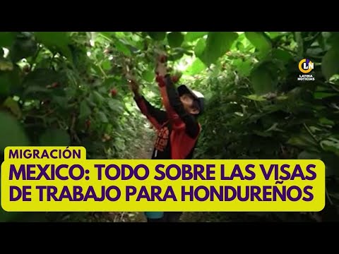 MÉXICO Y SUS VISAS DE TRABAJO PARA HONDUREÑOS: LO QUE DEBES SABER