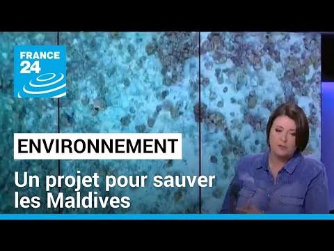 Environnement : lutter contre la pollution plastique et sauver les Maldives • FRANCE 24