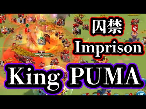 King PUMA is God, The battle continues even after Imprison ends.