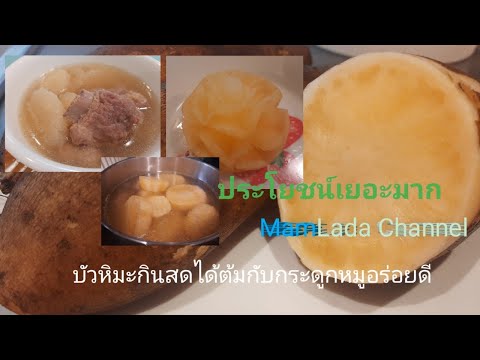 บัวหิมะทำอาหารอะไรได้บ้าง@Mam