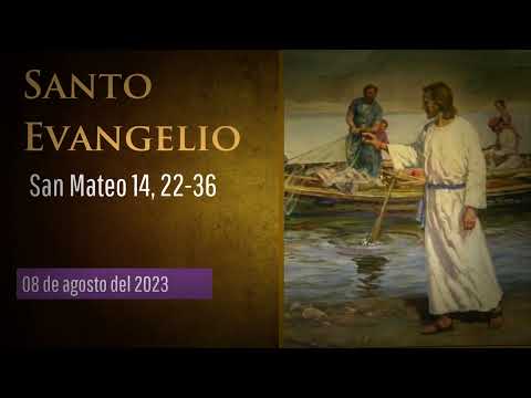 Evangelio del 8 de agosto del 2023 según san Mateo 14, 22-36