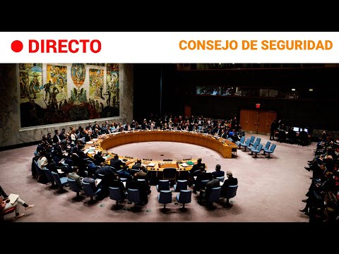 ONU: El CONSEJO de SEGURIDAD aborda la cuestión PALESTINA y la GUERRA de GAZA | RTVE Noticias