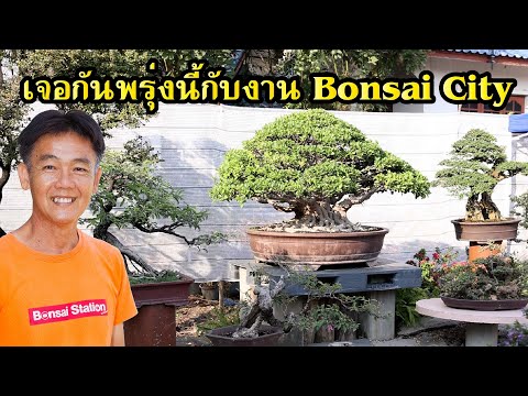 เจอกันพรุ่งนี้กับงานBonsaiCi