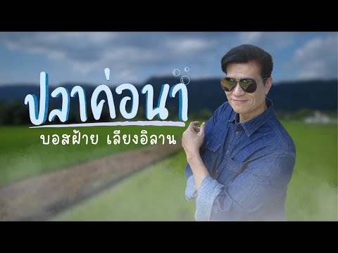 ปลาค่อนา-ปอยฝ้ายมาลัยพร