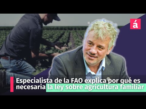 Especialista de la FAO explica por qué es necesaria la ley sobre agricultura familiar