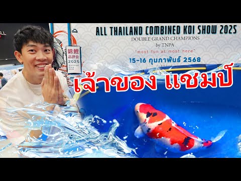 งานประกวดปลาคาร์พครั้งแรกของปี