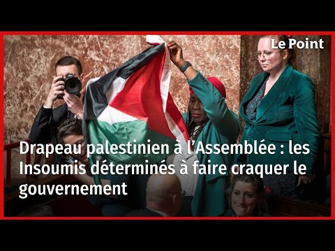 Drapeau palestinien à l’Assemblée : les Insoumis déterminés à faire craquer le gouvernement