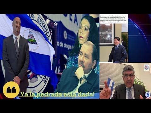 Cancillería d Nicaragua responde: Arturo Mcfields no nos representa Ya la pedrada está dada Ortega