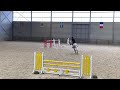 Show jumping horse Orlando