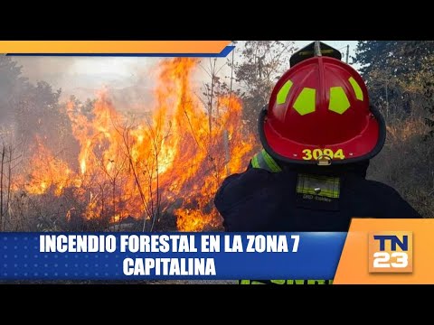 Incendio forestal en la zona 7 capitalina