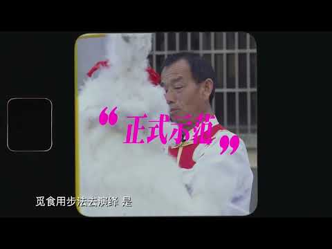 传承八百年的民间艺术——三灶鹤舞！走读大湾区