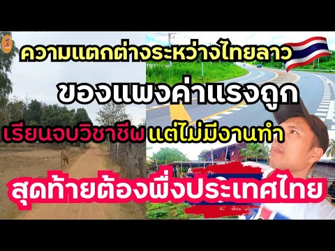 EP.250🇹🇭ความแตกต่างระห่วางไทยล