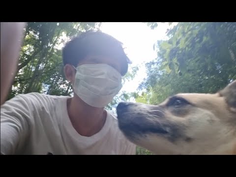 ป่าซอมบี้เปลี่ยนไป🫨🐕คนรักหมาหม