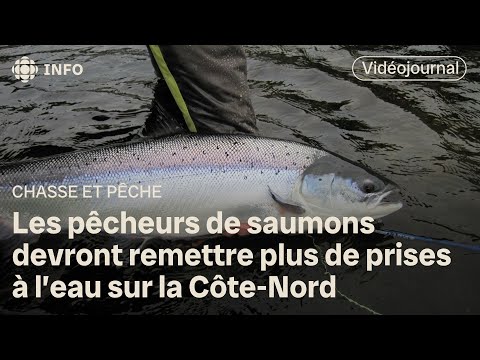 Les pêcheurs de saumons devront remettre plus de prises à l’eau sur la Côte-Nord | Vidéojournal