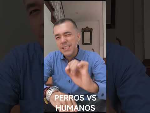 PERROS VS HUMANOS #viral #reflexiones #frases #videoshorts #miguelsalazar  @MSnumerologia