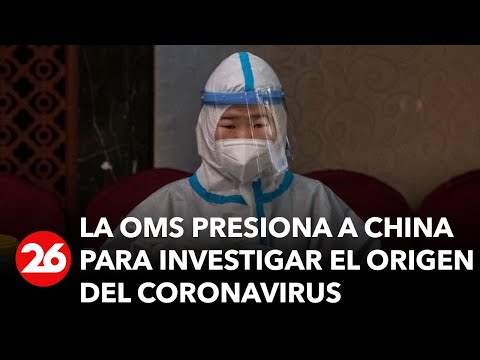 La OMS presiona a China para investigar el origen del coronavirus