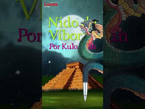 La burbuja que estalló: El fracaso de Fuerza y Corazón por México | Nido de víboras 13 de junio, 24.